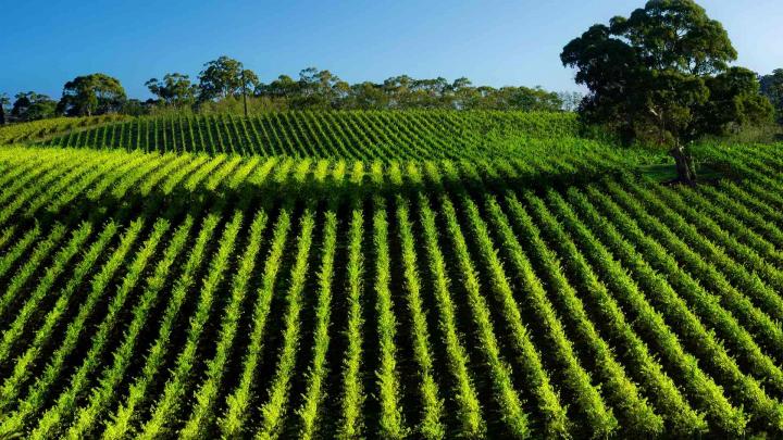 Entreprise de travaux agricoles Indre